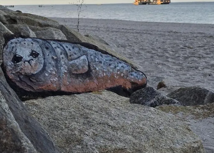 Apartment Sloneczy Z Widokiem